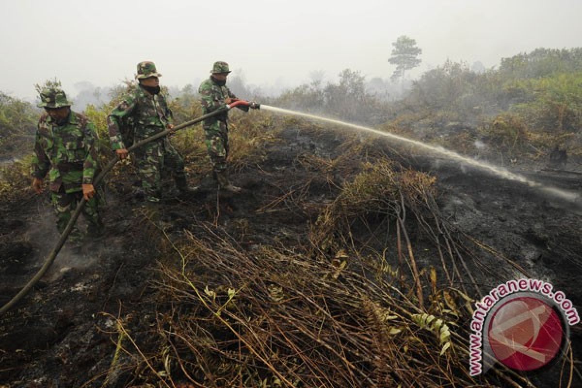 Indonesian military deploys 1,059 personnel to overcome forest fires